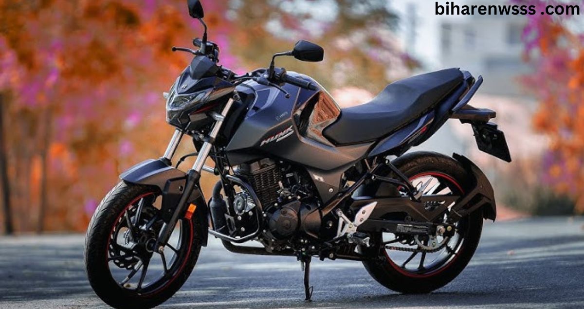 Hero Hunk 125cc Bike Price