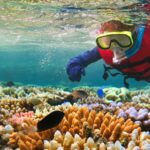 Best eSIM for Australia in 2025