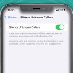 How to block spam calls on iPhone