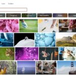 Best Adobe Stock alternative of 2025 Best Adobe Stock alternative of 2025