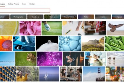 Best Adobe Stock alternative of 2025