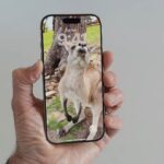 I love this hidden iOS 26 feature, and it’s made my Lock Screen better than ever